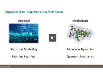 Predicting Reactivity to Drug Metabolism: Beyond P450s – Modelling FMOs and UGTs